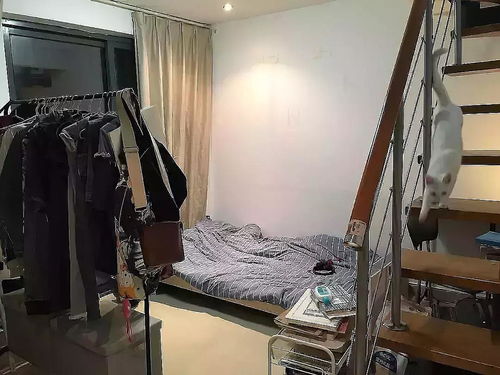 9号线九亭地铁口loft小户型,招室友可短租欢迎沙发客