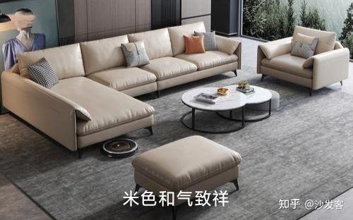 家里有小孩或有宠物怎么选择沙发